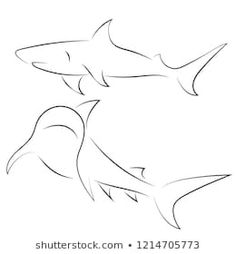 a drawing of two sharks swimming in the ocean, one is drawn with a pencil