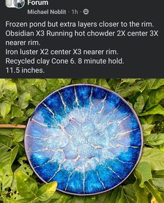 a blue plate sitting on top of green leaves next to a plant with the words frozen pond but extra layers closer to the rim