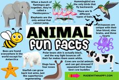 an animal fun fact is shown in this poster with animals and other things on it