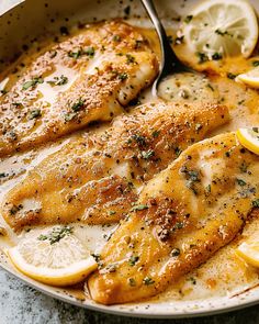 a pan filled with chicken and lemon slices