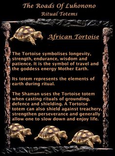 the tortoise symbol is shown in front of a black background with gold lettering