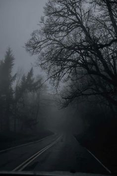 the road is dark and foggy with no cars on it, but there are trees in the distance