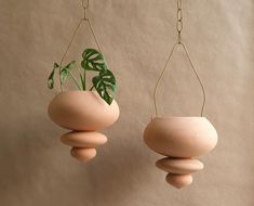 two clay pots with plants hanging from them