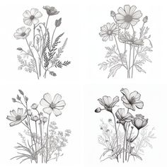 four different types of flowers in black and white, each with their own drawing style