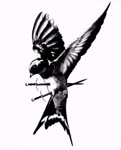 a black and white photo of a bird with an arrow in it's beak