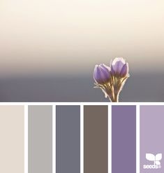 the color scheme is purple and grey with some white flowers in front of an ocean background