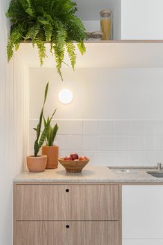 a bowl of fruit sitting on top of a kitchen counter next to a potted plant