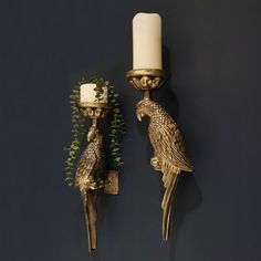 two wall sconces with birds on them, one holding a candle and the other holding a potted plant