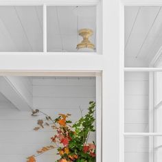 a potted plant sitting on top of a window sill next to a light