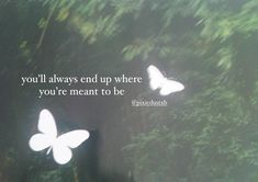 two white butterflies flying in the air with a quote above them that says, you'll always end up where you're meant to be