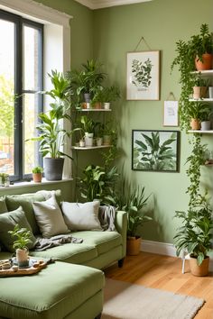 a living room filled with lots of green furniture and potted plants on the wall