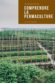 a field with rows of plants in it and the words, comprendre la permaculture