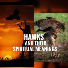 two pictures with the words hawks and their spiritual meanings