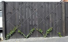 an image of a fence with vines growing on it