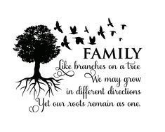 family like branches on a tree we may grow in different directions yet our roots remain as one