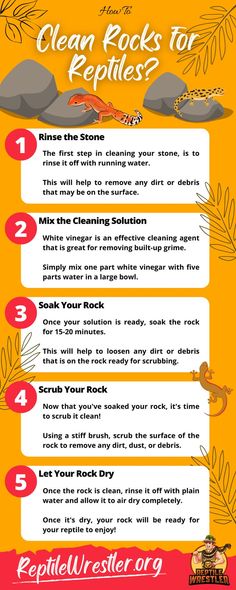 How to Clean Rocks for Reptiles Infographic Diy Terrarium Reptile, Reptile Diy, Spotted Gecko, Diy Terrariums, Leopard Gecko Habitat, Gecko Habitat, Pet Snakes, Vinegar Cleaner