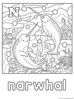 the letter n is for narwhalel coloring page with dolphins and fish