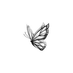 a black and white drawing of a butterfly