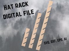 an image of the back side of a digital file with trees and fog in the background