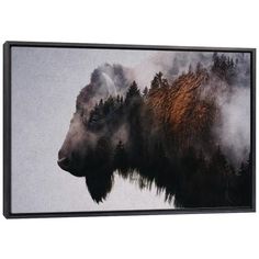 Bison by Andreas Lie arrives ready to hang, with hanging accessories included and no additional framing required. Every canvas print is hand-crafted in the USA, made on-demand at iCanvas, and expertly stretched around 100% North American Pine wood stretcher bars. Buffalo Head, Wall Collage Decor, Wall Decor Hobby Lobby, Forest Trees, Brown Frame, Wood Wall Decor, Frame Wall Decor, Contemporary Artwork, Mirror Wall Decor