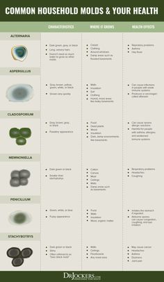 the common household molds and their health benefits info sheet with text overlaying them