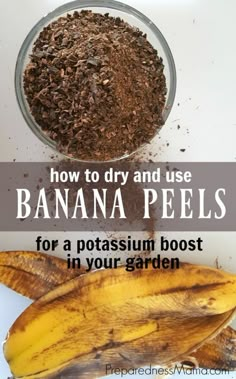 banana peels and cocoa in a glass bowl with text overlay reading how to dry and use banana peels for a potasum booster in your garden