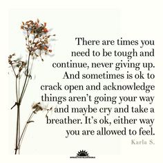 Karla S (K.S) on Instagram: “There are times you need to be tough and continue, never giving up. And sometimes is ok to crack open and acknowledge things aren’t going…” Giving Up, Never Give Up, Need This, Take That, Feelings