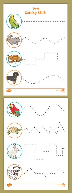 the letter h worksheet with pictures of animals