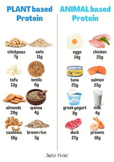 Highly Nutritious Foods, High Protein Low Carbs List, Height Protein Food, Foods High In Good Fats, Food With Protein List Of, Low Calorie High Nutrient Meals, Food Full Of Protein, High Quality Protein Foods, Protein Meals Cheap