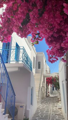 an alley way with stairs and pink flowers on the trees in front of buildings that have blue balconies