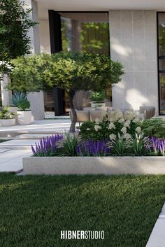 an outdoor garden with white and purple flowers