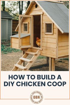 a chicken coop with the words how to build a diy chicken coop