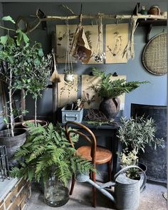 a room filled with lots of potted plants