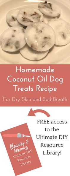 homemade coconut oil dog treats recipe for dry skin and bad breath