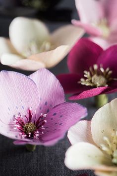 several pink and white flowers on a black table cloth, with one purple flower in the center