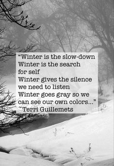 Winter is the slow-down
Winter is the search for self
Winter gives the silence we need to listen
Winter goes gray so we can see our own colors...
~Terri Guillemets Slow Winter Aesthetic, Winter Rest Quotes, Wintering Quotes, Winter Wellness Aesthetic, Love Winter Quotes, January Quotes Inspirational, Winter Quotes Inspirational, Winter Quotes Aesthetic, Snowless Winter