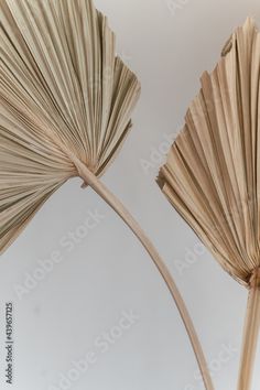 two books that have been folded into the shape of leaves