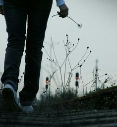 a person walking down a road with their hand in the air and some plants growing out of the ground