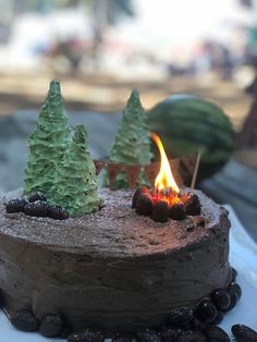 there is a chocolate cake with trees on it and a campfire in the middle