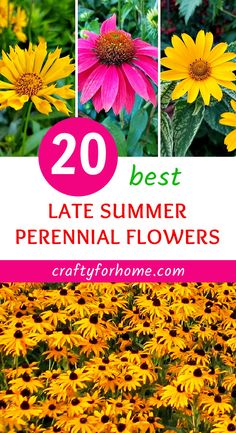 yellow and pink flowers with text overlay that says 20 best late summer perennials