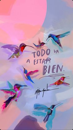 colorful birds flying in the sky with words above them that read to do a star bien