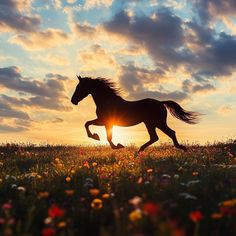 a horse running through a field at sunset