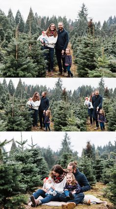 a family is sitting in the middle of a christmas tree farm with their two children