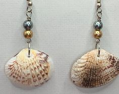 two seashells are hanging from chains on a white wall, one is gold and the other is silver