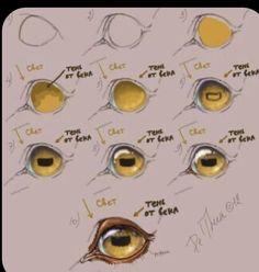 an eye chart showing the different types of glasses and how they are used to see them