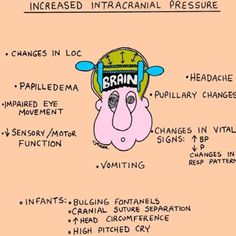 an image of the brain with instructions on how to use it and what to do