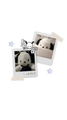 two polaroids with one black and white stuffed animal in the middle, on a white background