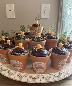 cupcakes are arranged in flower pots on a tray