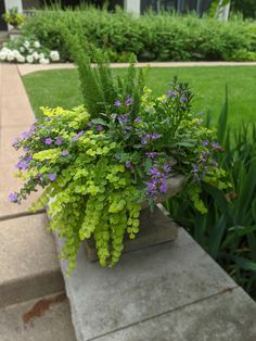 a planter filled with purple and green flowers sitting on top of a cement block