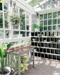 an indoor greenhouse with several plants in pots and on the ground next to a bench